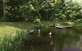 Thoughts of a Summer Day