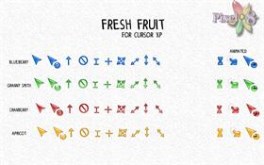 Fresh Fruit