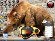 big bear