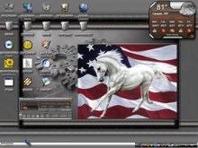 mico white horse
