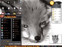 Firefox