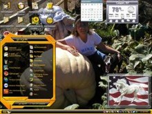 big pumkin