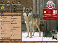 wolf7