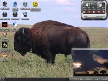 more buffalo 2