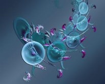 Turquiose Bubbles