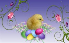 Easter Chick