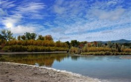 Watkins Autumn