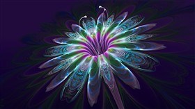 Patterned Flora