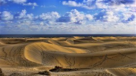 Dune Tracks