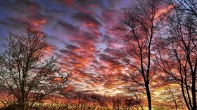Country Sunset