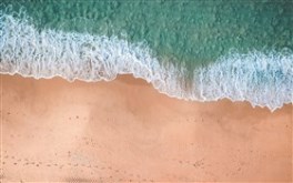 Drone Shot of Beach and Water
