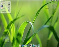 A Hint of Green